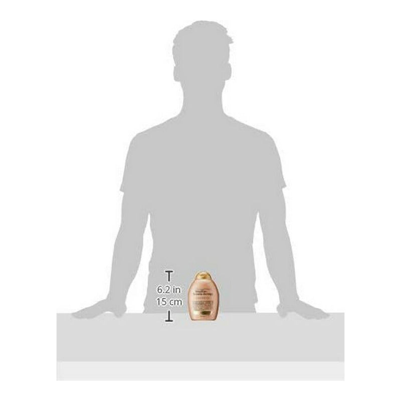 Lataa kuva gallerian katseluohjelmaan V10H44C7C355ED850E7C7DCDBB182112972BR3758056P4
