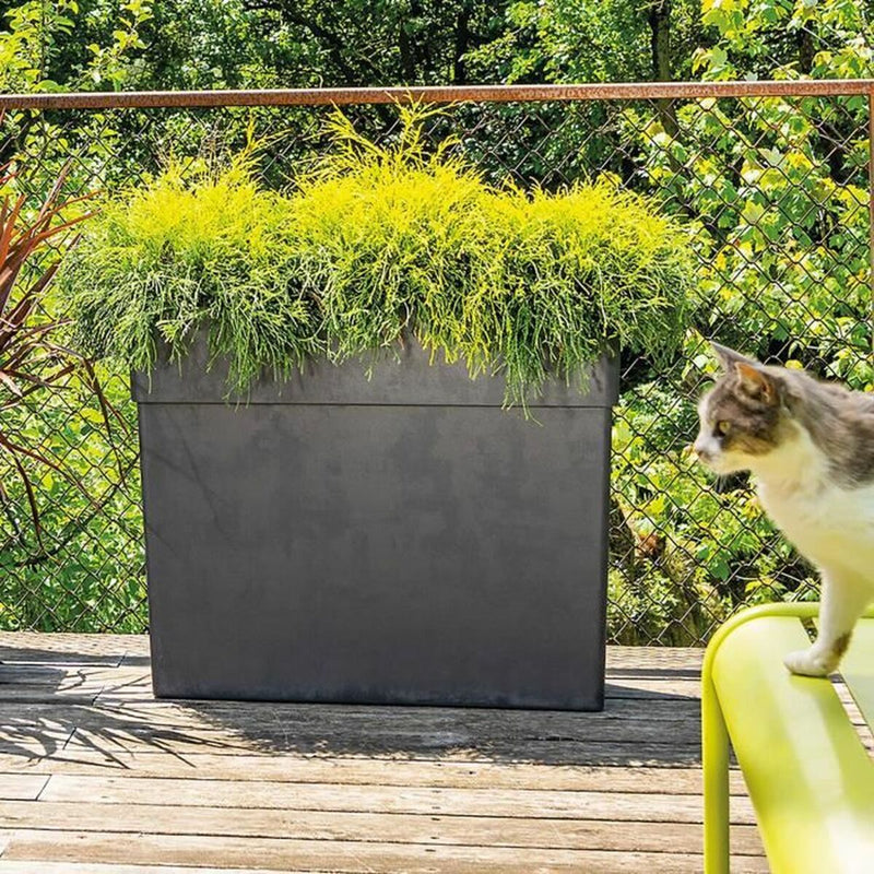 Lataa kuva gallerian katseluohjelmaan V6H282746926C0FCCB717044C1005A0F9ADR3440747P2
