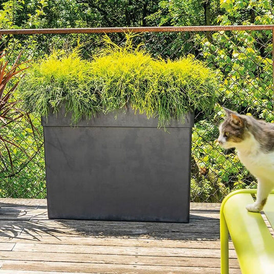 V6H282746926C0FCCB717044C1005A0F9ADR3440747P2