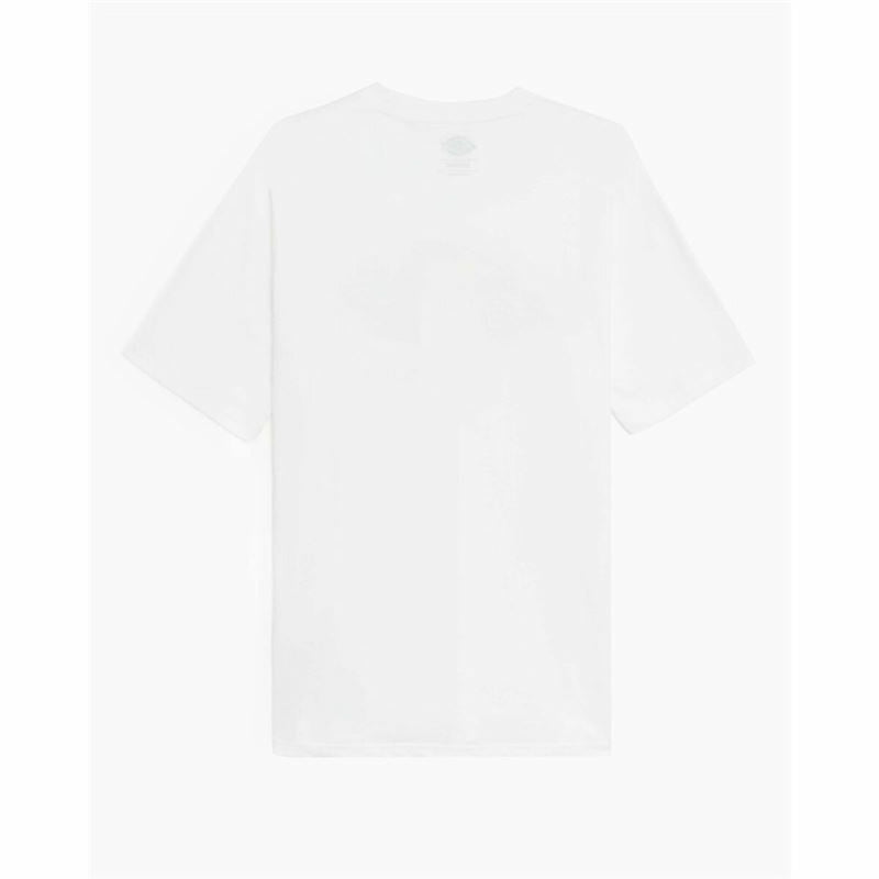 Lataa kuva gallerian katseluohjelmaan V4HA33E0898631F9536F923C5C94D44C481R2839124P4
