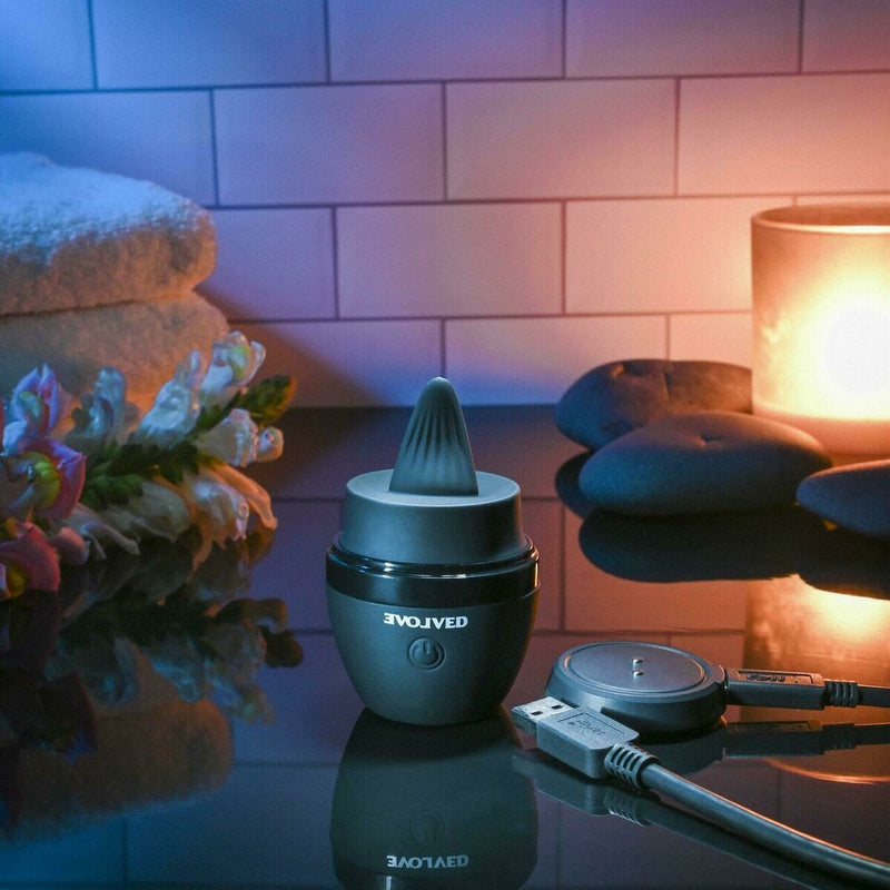 Lataa kuva gallerian katseluohjelmaan V6HF6C61E10A7B7BDE669689692B3C8AADBR4918029P6
