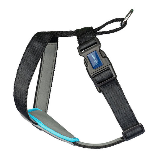 V9HCCB0593E49A8D4731132AD6FF2DE8CAER2354211P6