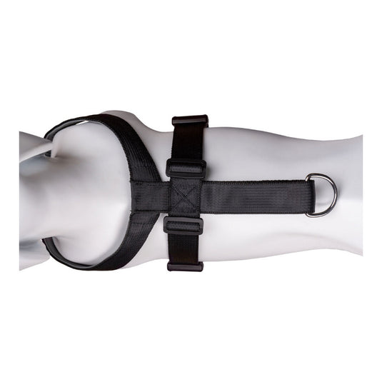 V9H00B99E9F1B05606B668C443829B0CDF4R2354217P8