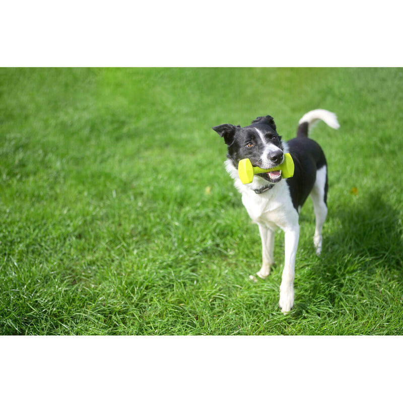 Lataa kuva gallerian katseluohjelmaan V6HC90D51E55ECFC414E58C0F66AB1691A3R3709268P6
