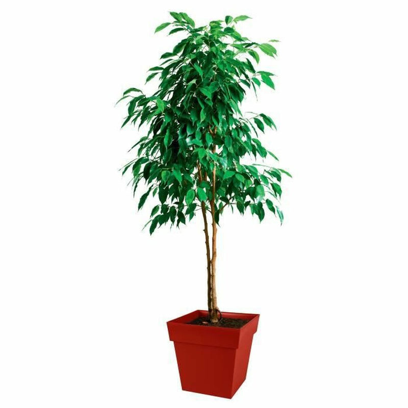 Lataa kuva gallerian katseluohjelmaan V7H2DC7DA7570F8B5E0E7D73F2FD525B802R3441029P2
