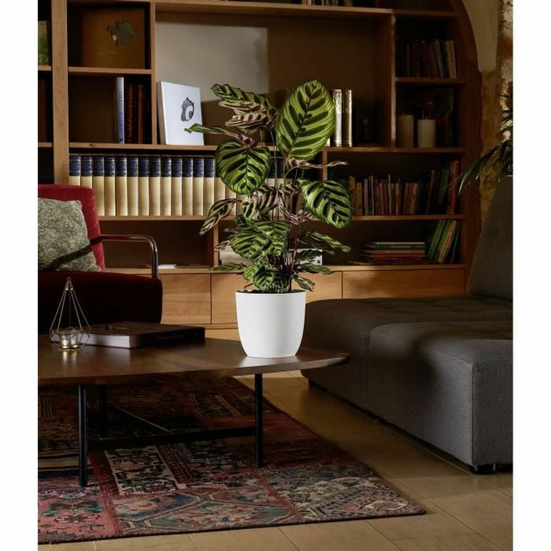 Lataa kuva gallerian katseluohjelmaan V7H3B90161383418BF2ADE53AA0934961A8R3441027P3
