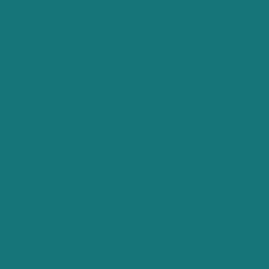 V4H1BE29D17B5038C132454DE746C86C94BR5564668P2