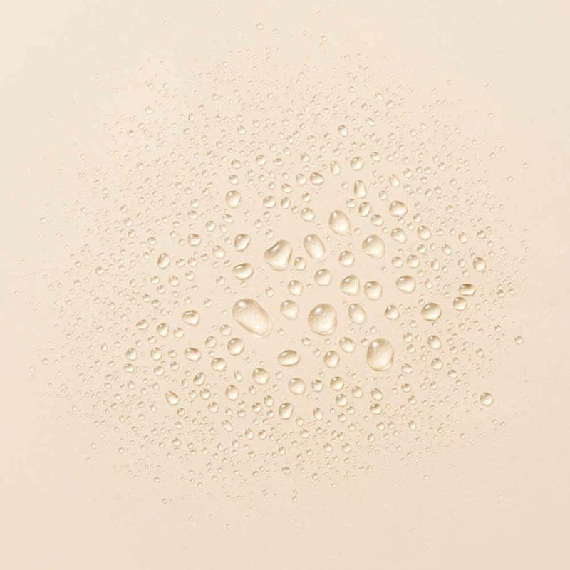 Lataa kuva gallerian katseluohjelmaan V3HB2F9526727CCA7C67889DCA5C48E9CF9R5625681P2
