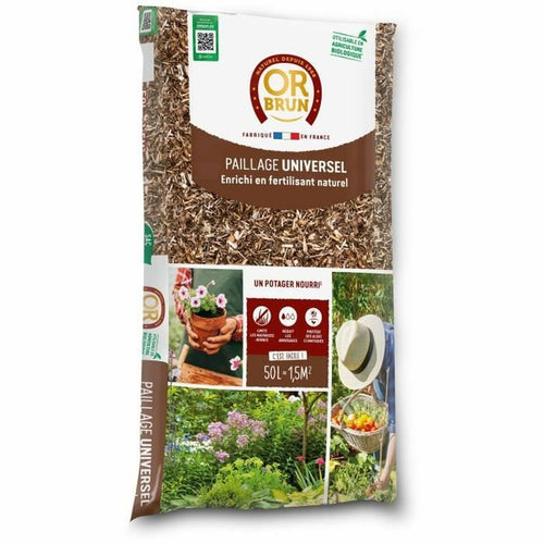 V5H33A496D43F179CD11BEA221BAA18ABBBR5179264P1