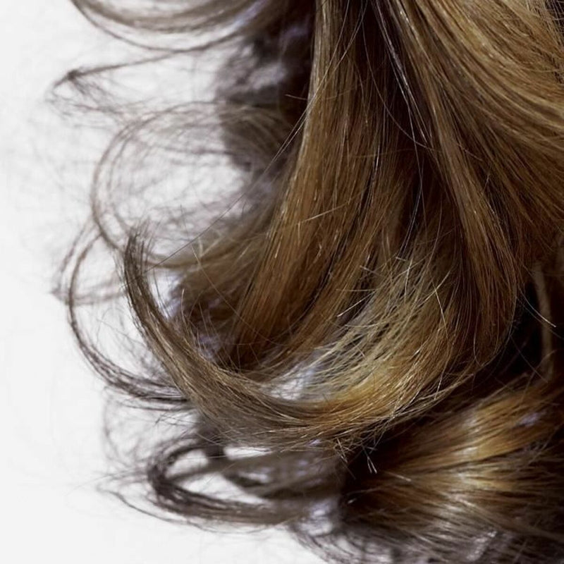 Lataa kuva gallerian katseluohjelmaan V4H738CE32E7F02C259A284CB47594422D7R4410060P6
