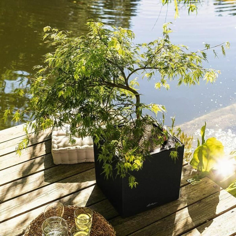 Lataa kuva gallerian katseluohjelmaan V3HEDE31D3B251F2A3A6D9A99FC346AE007R4227032P5
