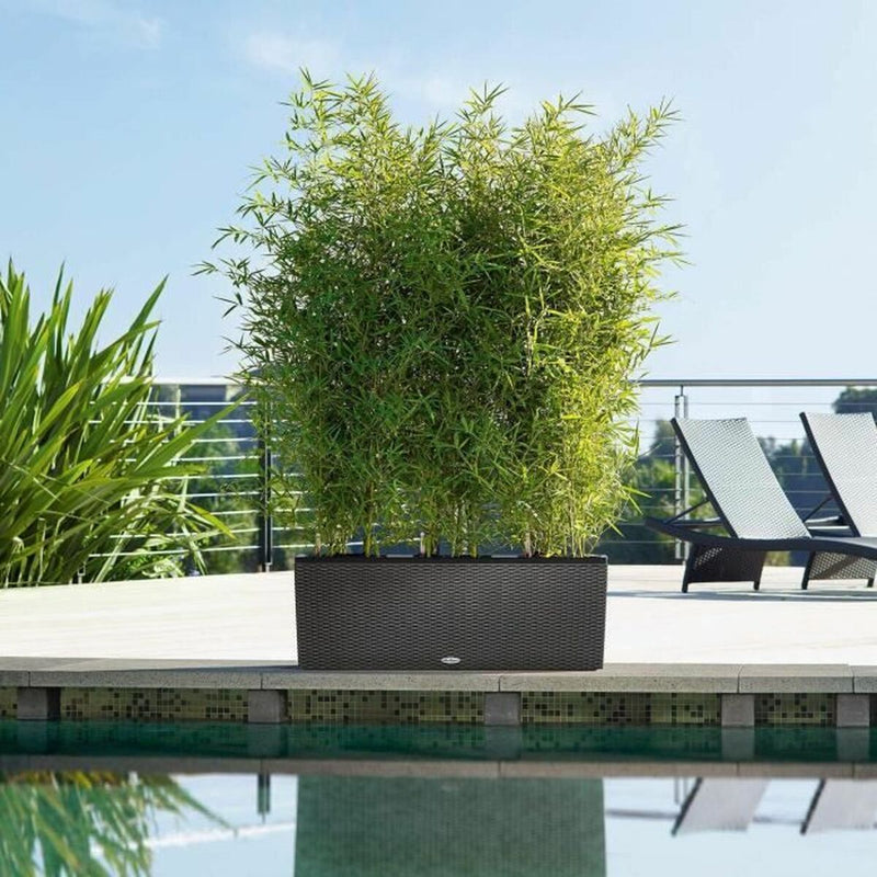 Lataa kuva gallerian katseluohjelmaan V6H060AC833BBC6BF51E465B1CEC8B6ED4DR7349226P3
