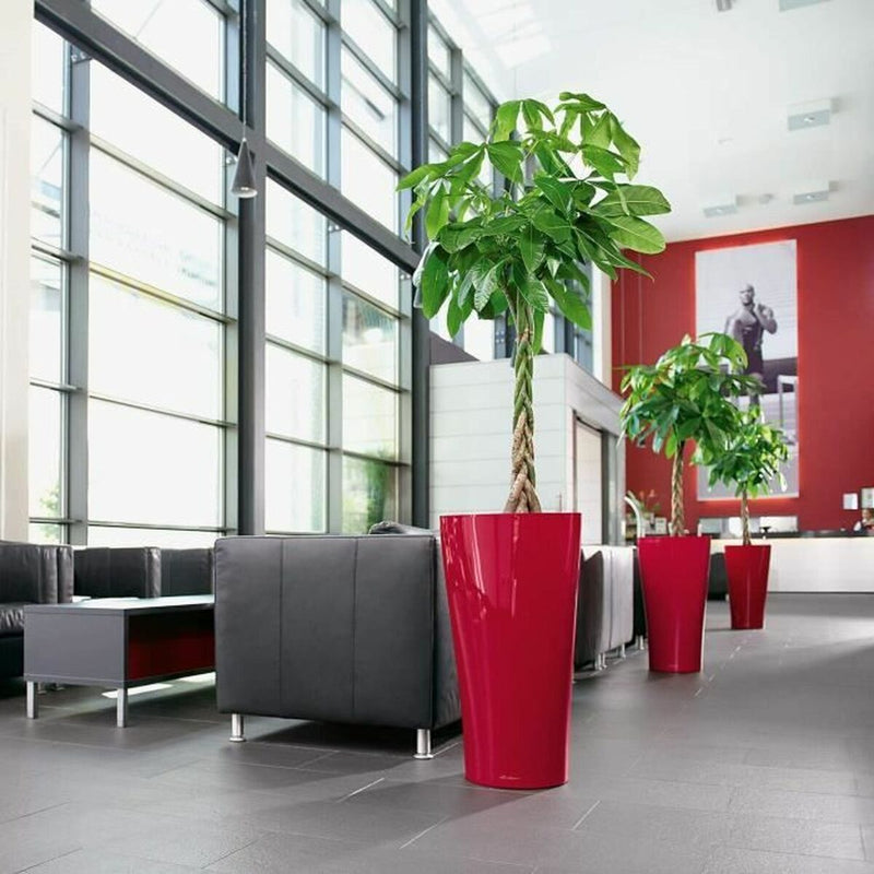 Lataa kuva gallerian katseluohjelmaan V3H0917CFE48D04EC69AD0DF314F052919DR4321521P5
