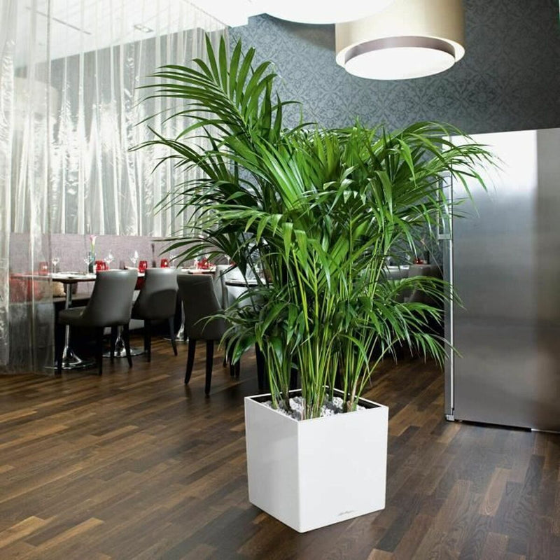 Lataa kuva gallerian katseluohjelmaan V7HB9B3BFD90DE946061D53BD7FF3301146R7024080P3
