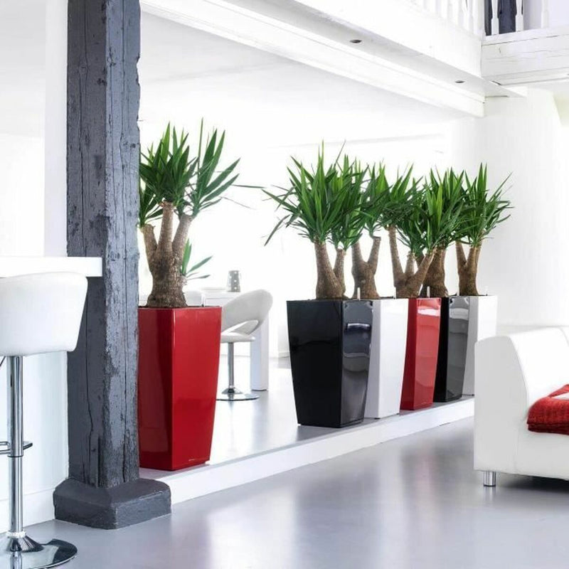 Lataa kuva gallerian katseluohjelmaan V4H078C65318EC79C0C5893657A6670434DR4287262P4
