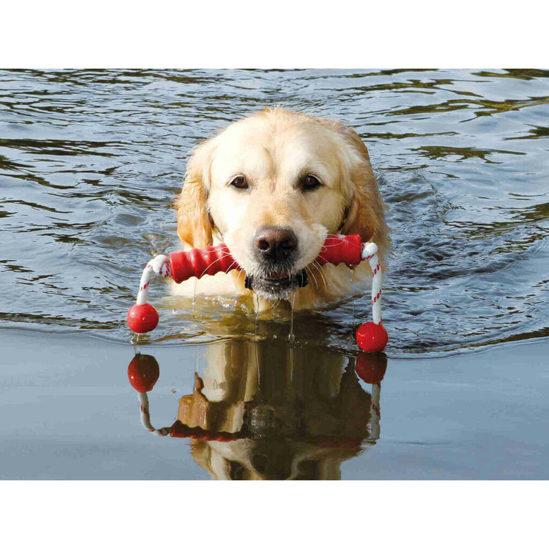 Lataa kuva gallerian katseluohjelmaan V6HEA8AA654B869B6D5212ADB2057BBBDE8R7443080P5
