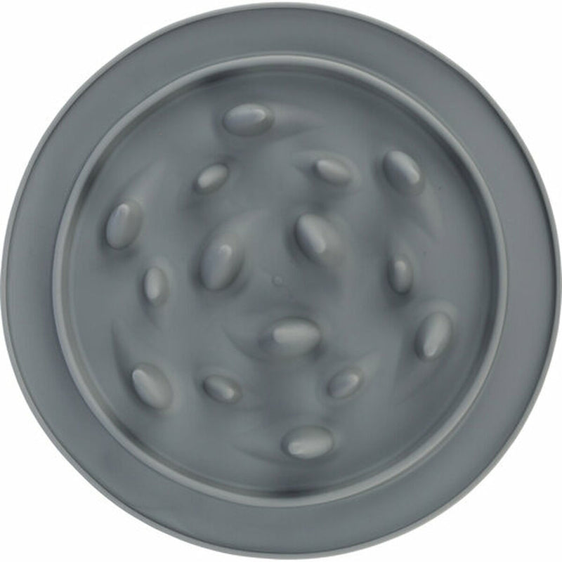 Lataa kuva gallerian katseluohjelmaan V8H10B2929875E0036F2E574D826E1394FDR7445737P6
