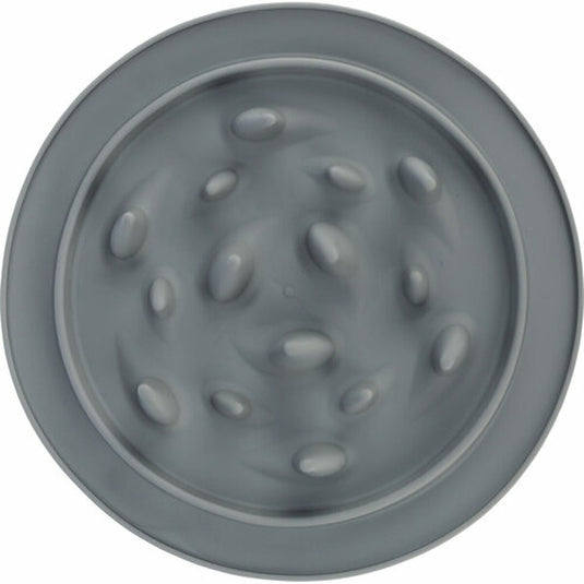 V8H10B2929875E0036F2E574D826E1394FDR7445737P6