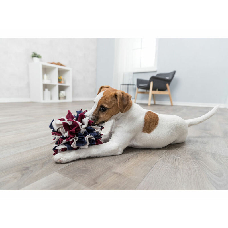 Lataa kuva gallerian katseluohjelmaan V8HD33411883B5B0F2EDE3710B2F4E7881CR7454051P9
