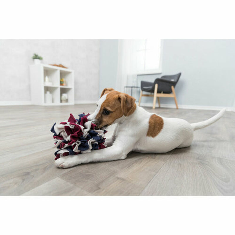 Lataa kuva gallerian katseluohjelmaan V8H8BA583B8582AE780360047BAE1473355R7454052P10
