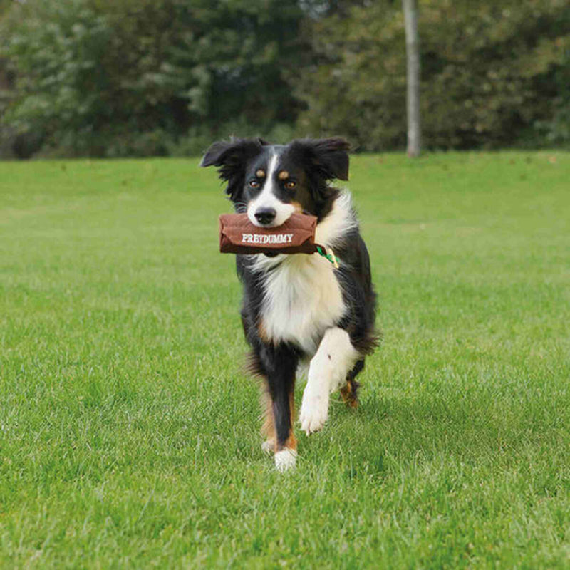 Lataa kuva gallerian katseluohjelmaan V7H1E9DABF7CF7218BCA076D7E04B01BBA8R7441141P4
