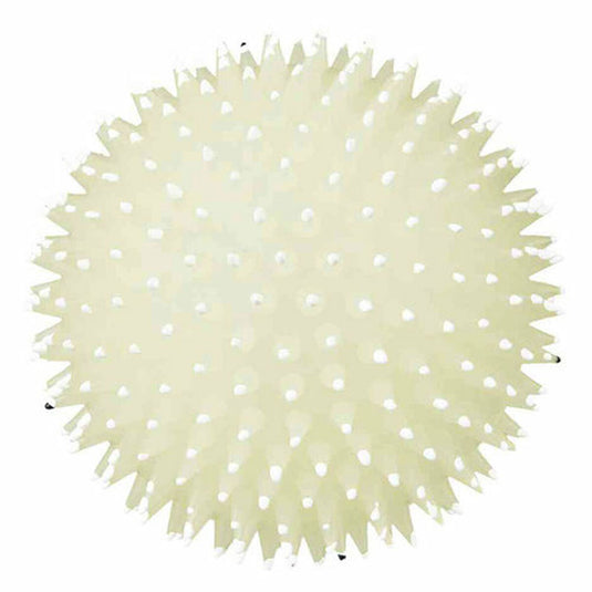 V6H0FB8872EC816BC9B17FDD4F9EE5337EDR7444132P4