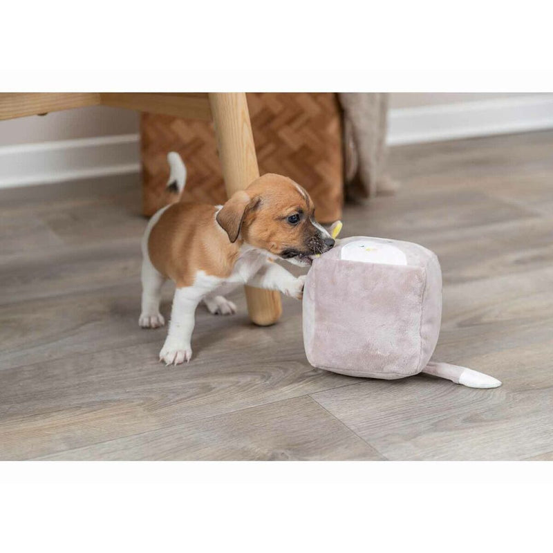 Lataa kuva gallerian katseluohjelmaan V8H13C8FB165DBB18571EFF8A2AE4DD3D7CR7456529P7
