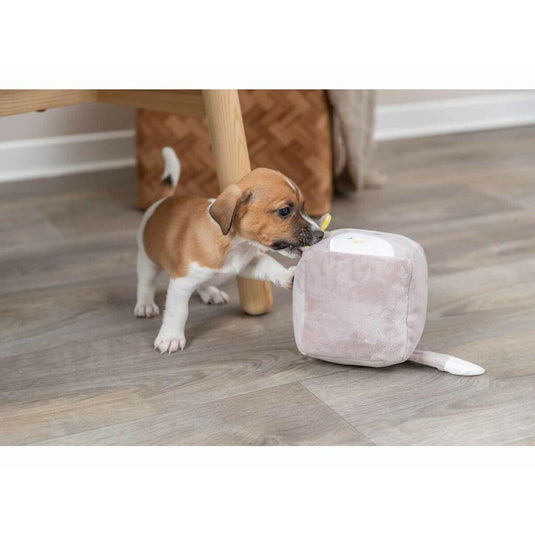 V8H13C8FB165DBB18571EFF8A2AE4DD3D7CR7456529P7