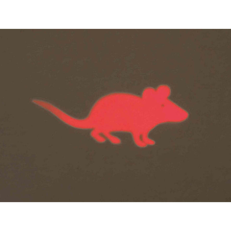 Lataa kuva gallerian katseluohjelmaan V5H30063C549CCA8F726CFA66BD1F65BC74R7444929P5
