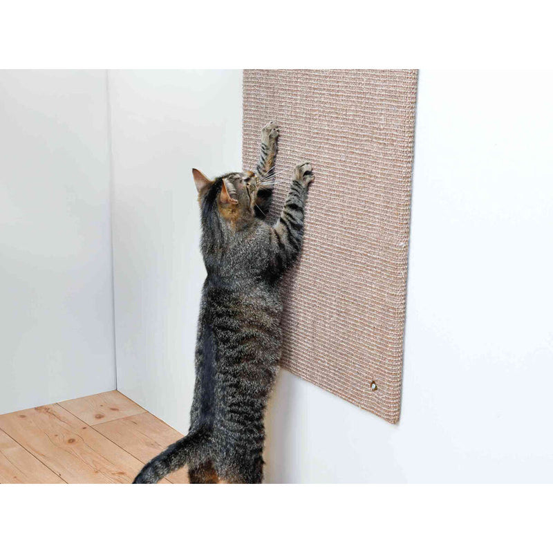 Lataa kuva gallerian katseluohjelmaan V7H49D17CAD99601D404529EDDB488A2DDBR7445226P2
