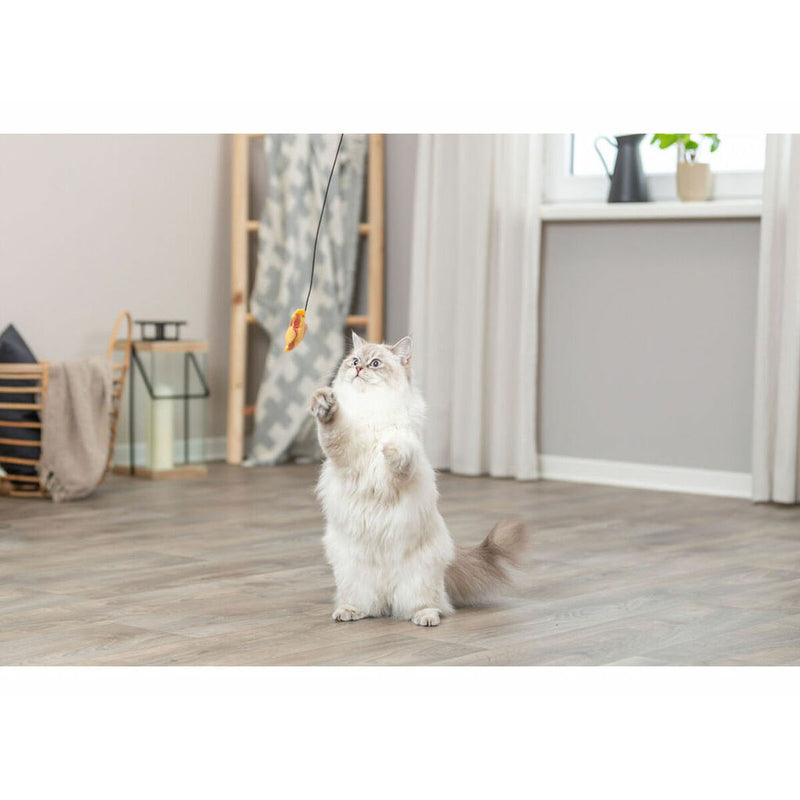 Lataa kuva gallerian katseluohjelmaan V3HD0B578A0AF299719163C0457D915C679R5586839P4
