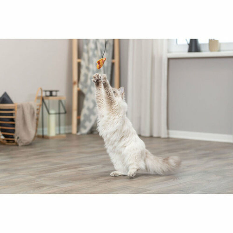 Lataa kuva gallerian katseluohjelmaan V5HCB8C4A836ECE507C639671DB3488662CR7459584P6
