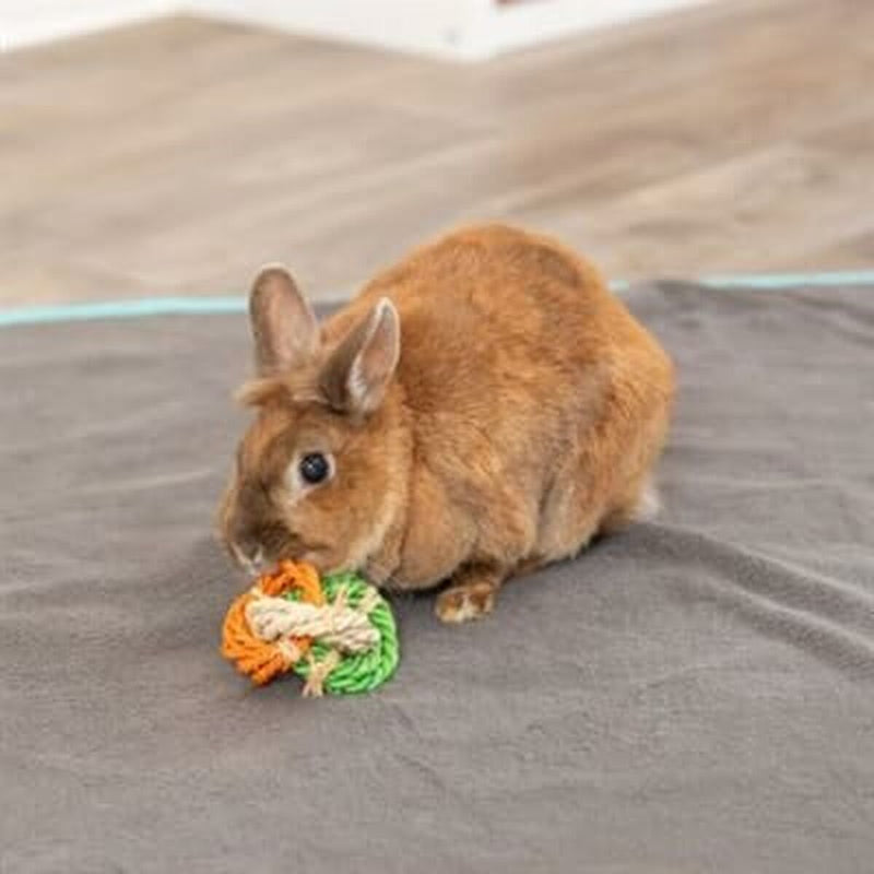 Lataa kuva gallerian katseluohjelmaan V6HD59376366369C0EF399C3DD5AFFB7893R5448864P3
