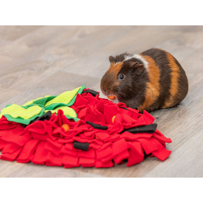 Lataa kuva gallerian katseluohjelmaan V5H04474D15ED64CFC5700C73BF0C2D8BAAR7459573P7
