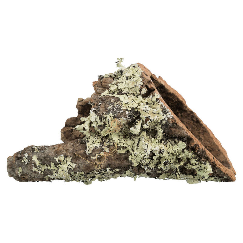 Lataa kuva gallerian katseluohjelmaan V5H96D7B8F8752F37C0698593CF236FE13CR7446165P1
