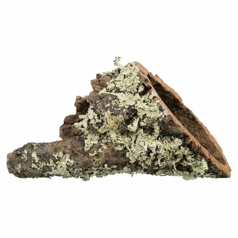 Lataa kuva gallerian katseluohjelmaan V5HB4A7A7FCB51EBBDFF49C3353424CB28FR7446167P2
