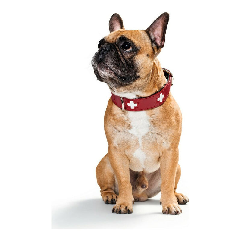 Lataa kuva gallerian katseluohjelmaan V11H96AF4F7F415DEF9C89DF688B28B221E7R3618620P4
