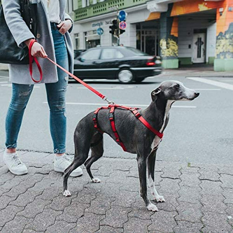 Lataa kuva gallerian katseluohjelmaan V8HA59D04DEF63664C092F2237AB410FBF6R3626870P5

