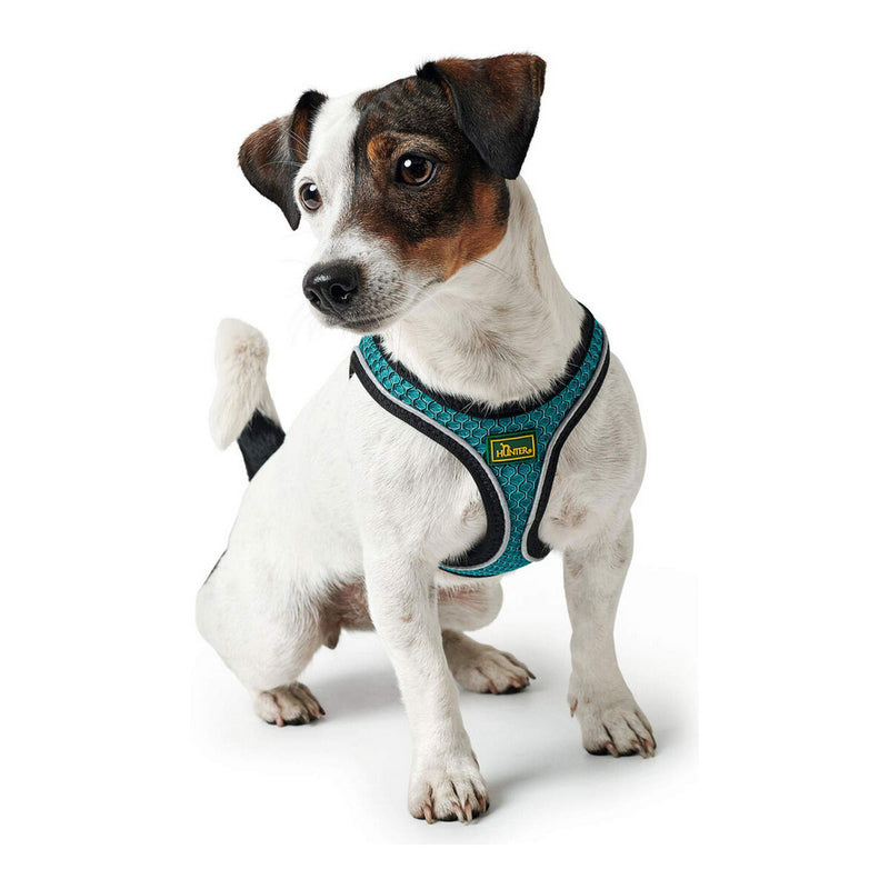 Lataa kuva gallerian katseluohjelmaan V11H549757B2DE0711F8C4246D238335EFEFR3618675P3
