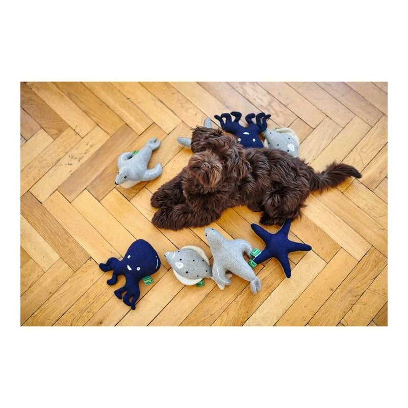 Lataa kuva gallerian katseluohjelmaan V11H4447686EC37BFC42DAB348291546813AR5568141P6
