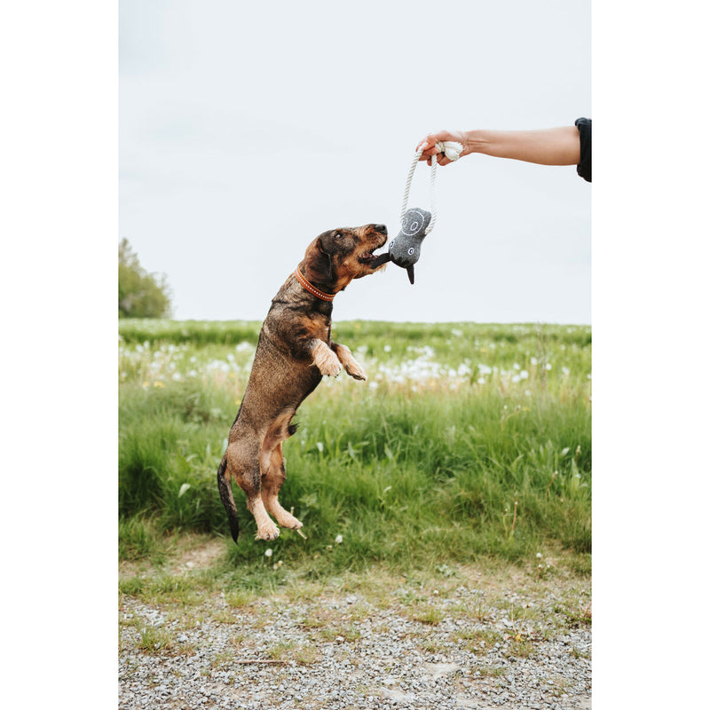 Lataa kuva gallerian katseluohjelmaan V4H872E2024DF96A1639DA7F2DF0A72BA0AR5574806P2
