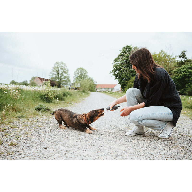 Lataa kuva gallerian katseluohjelmaan V5HE83D4BD6206717DE06B521DB3D7E1FFCR5574817P5
