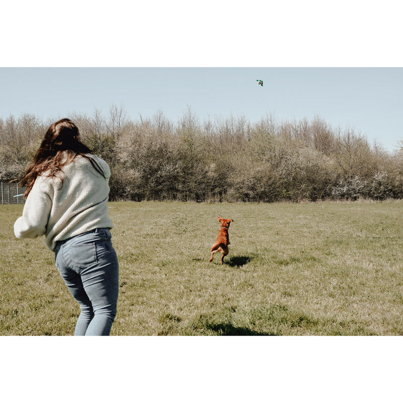 Lataa kuva gallerian katseluohjelmaan V5H4993B7F11AE04677988EEB30E3839F49R5333765P7
