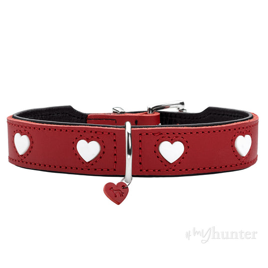 V8HDEC843C19CC1CDBD570AE2BAF02F6A49R6577482P6