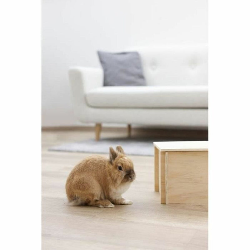 Lataa kuva gallerian katseluohjelmaan V8H3ECCC34F06ACD6701BA4DE8C4B8CB4AFR6637548P4
