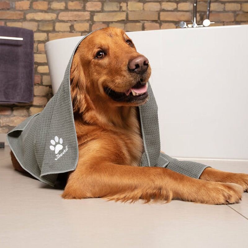 Lataa kuva gallerian katseluohjelmaan V6H9FE379851F001541362BC685DC9A4B36R7463264P10
