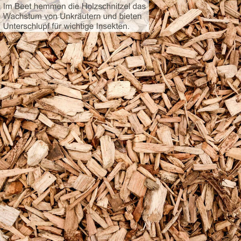 Lataa kuva gallerian katseluohjelmaan V8HFEE157DA9FC5C5BE6CE3E0A5334AD37CR6444330P7
