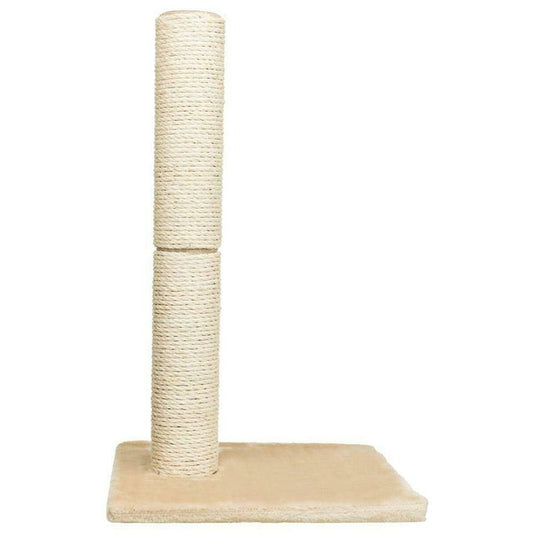 V6H37F6A269FB9C06638A8D16A70246DD70R5355183P6