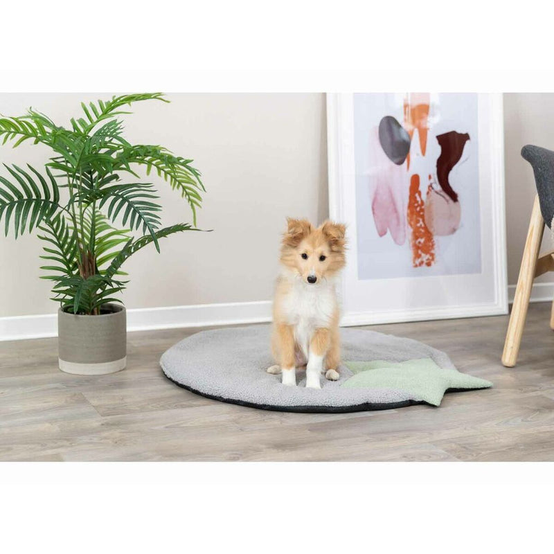 Lataa kuva gallerian katseluohjelmaan V6H759F8DA64B7DEA4C9BA1C999FB07AC4AR7446972P7
