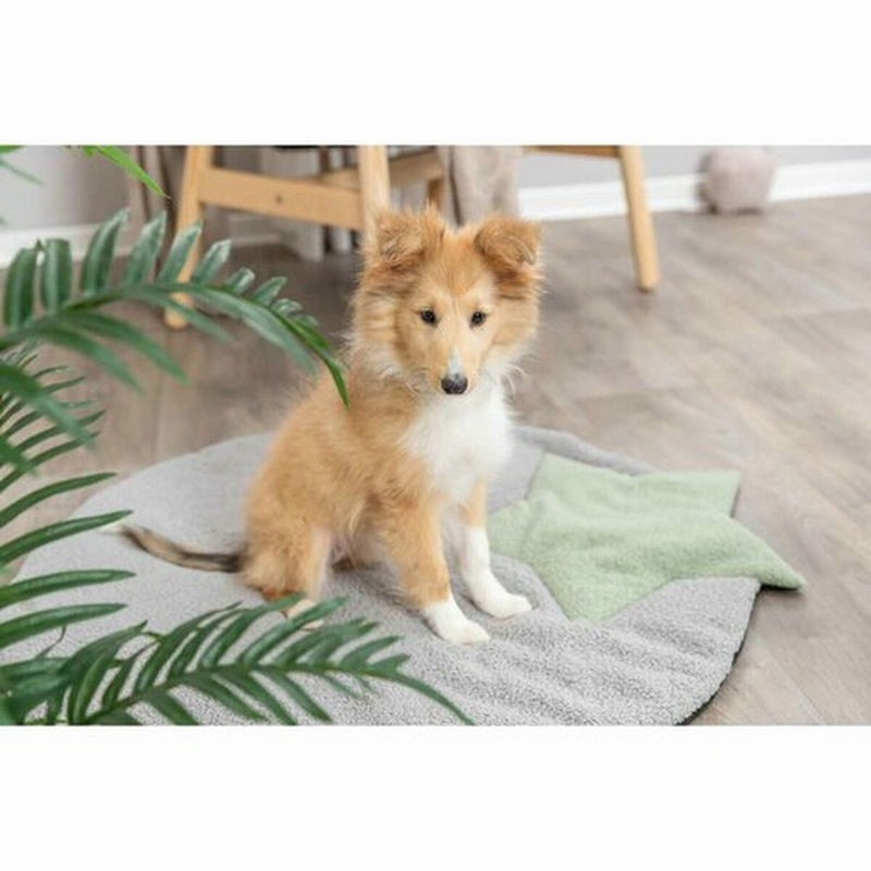 Lataa kuva gallerian katseluohjelmaan V6H44E63E8810E85F113D78EF00A4D3ED41R7446982P10
